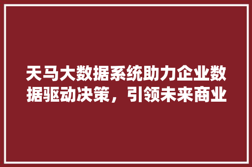 天马大数据系统助力企业数据驱动决策，引领未来商业潮流