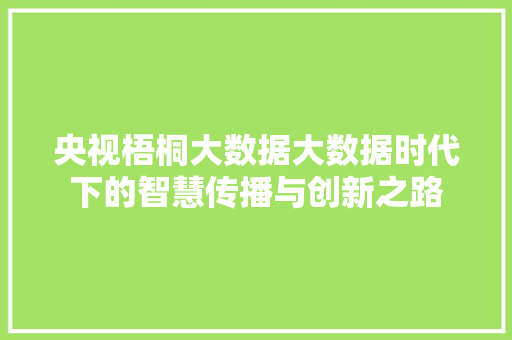 央视梧桐大数据大数据时代下的智慧传播与创新之路