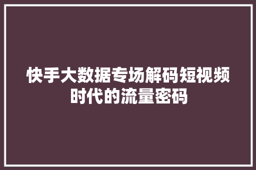 快手大数据专场解码短视频时代的流量密码