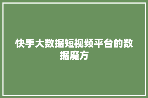 快手大数据短视频平台的数据魔方