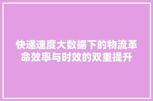 快递速度大数据下的物流革命效率与时效的双重提升