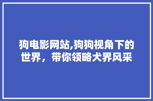 狗电影网站,狗狗视角下的世界，带你领略犬界风采