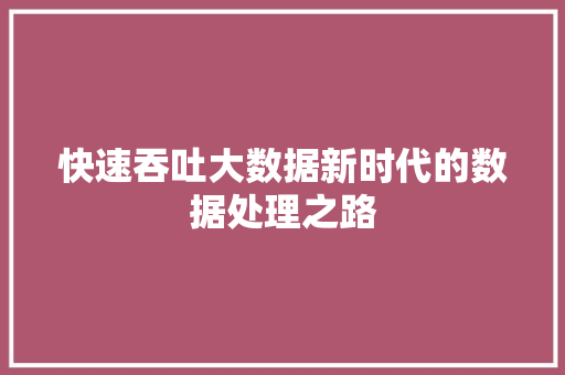 快速吞吐大数据新时代的数据处理之路