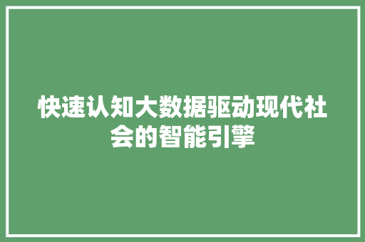 快速认知大数据驱动现代社会的智能引擎
