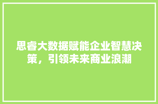 思睿大数据赋能企业智慧决策，引领未来商业浪潮