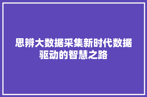 思辨大数据采集新时代数据驱动的智慧之路