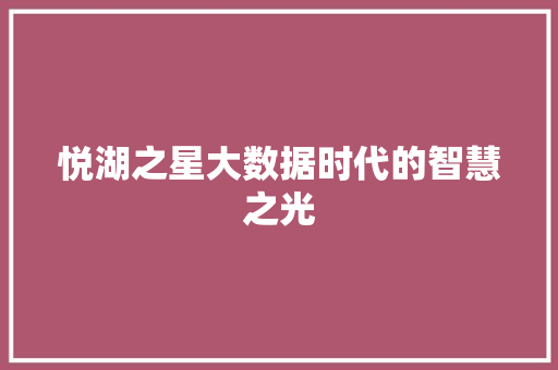 悦湖之星大数据时代的智慧之光 友链在线