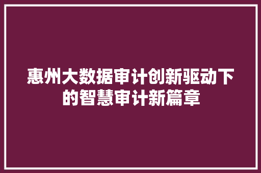 惠州大数据审计创新驱动下的智慧审计新篇章