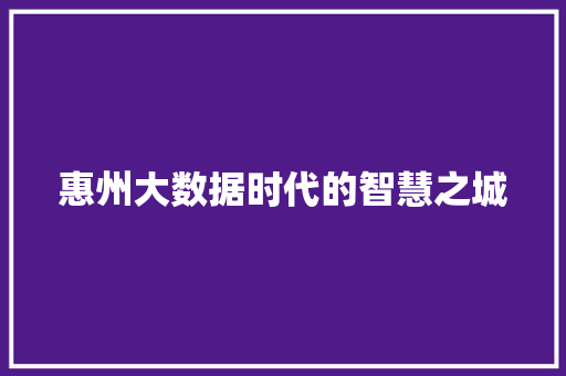 惠州大数据时代的智慧之城