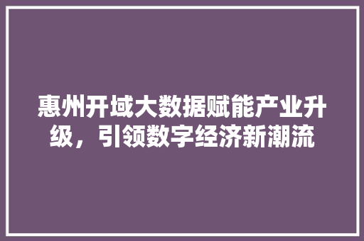 惠州开域大数据赋能产业升级，引领数字经济新潮流