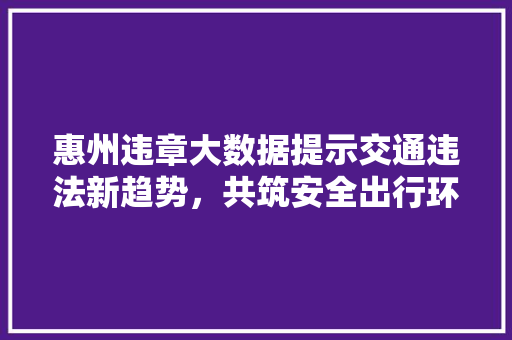 惠州违章大数据提示交通违法新趋势，共筑安全出行环境