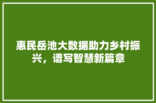 惠民岳池大数据助力乡村振兴，谱写智慧新篇章