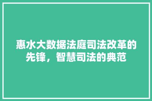 惠水大数据法庭司法改革的先锋，智慧司法的典范