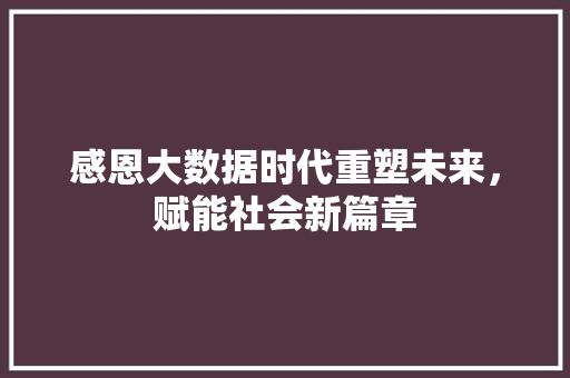 感恩大数据时代重塑未来，赋能社会新篇章 建站教程