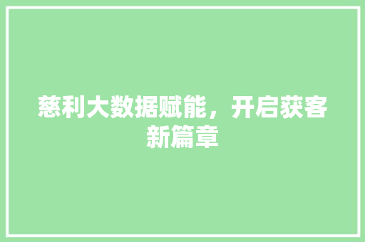 慈利大数据赋能，开启获客新篇章 WordPress教程