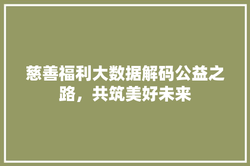慈善福利大数据解码公益之路，共筑美好未来