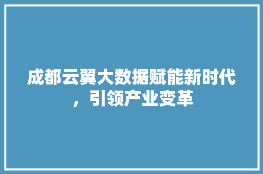 成都云翼大数据赋能新时代，引领产业变革