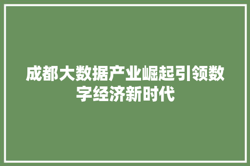 成都大数据产业崛起引领数字经济新时代