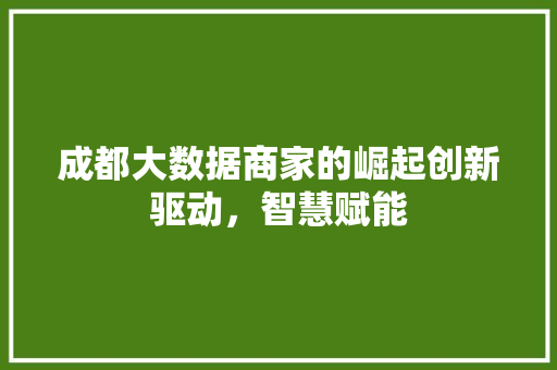成都大数据商家的崛起创新驱动，智慧赋能