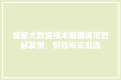 成都大数据技术赋能城市智慧发展，引领未来潮流