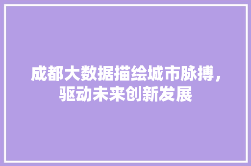 成都大数据描绘城市脉搏，驱动未来创新发展
