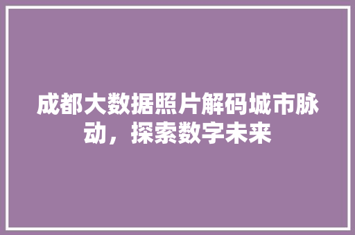 成都大数据照片解码城市脉动，探索数字未来