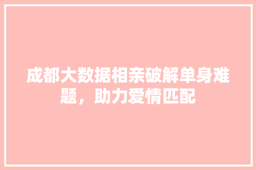 成都大数据相亲破解单身难题，助力爱情匹配