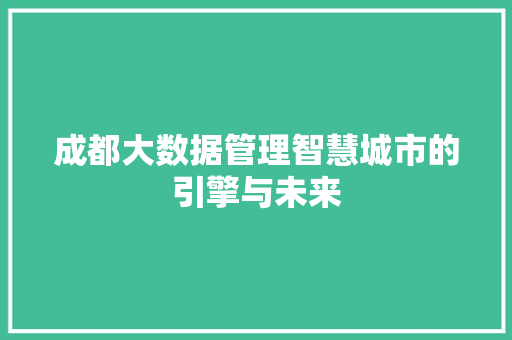 成都大数据管理智慧城市的引擎与未来
