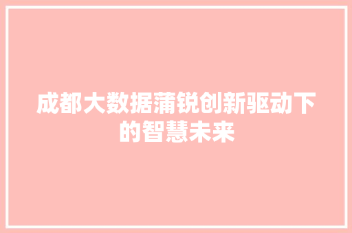 成都大数据蒲锐创新驱动下的智慧未来