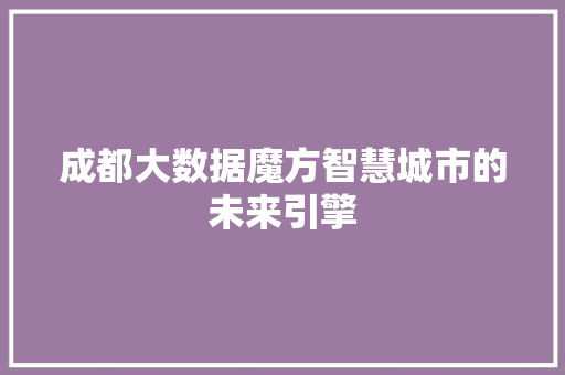 成都大数据魔方智慧城市的未来引擎