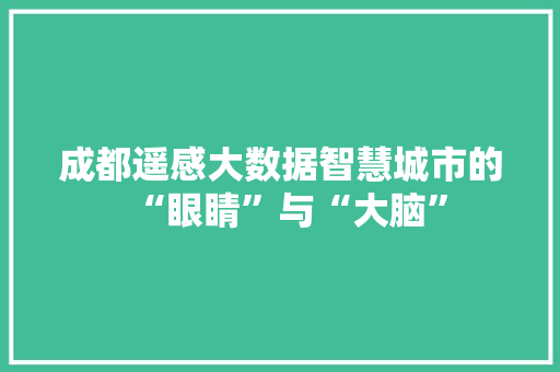 成都遥感大数据智慧城市的“眼睛”与“大脑”