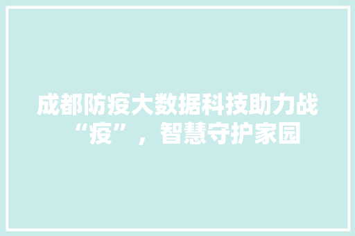 成都防疫大数据科技助力战“疫”，智慧守护家园 建站教程