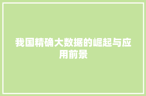 我国精确大数据的崛起与应用前景