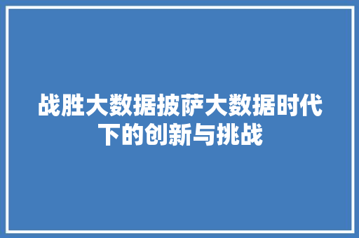 战胜大数据披萨大数据时代下的创新与挑战