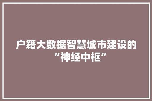 户籍大数据智慧城市建设的“神经中枢”