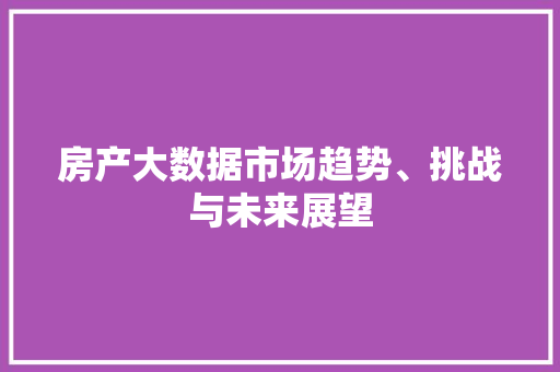 房产大数据市场趋势、挑战与未来展望