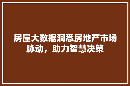 房屋大数据洞悉房地产市场脉动，助力智慧决策