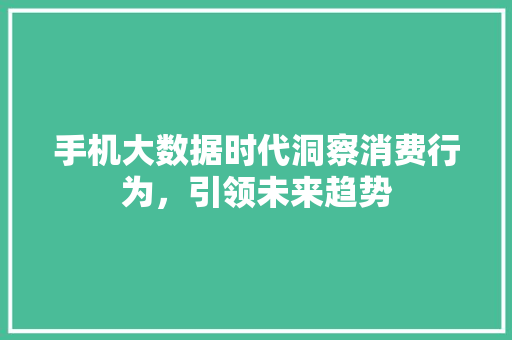 手机大数据时代洞察消费行为，引领未来趋势