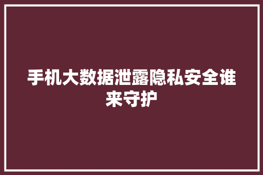 手机大数据泄露隐私安全谁来守护