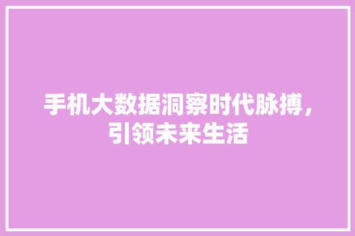 手机大数据洞察时代脉搏，引领未来生活