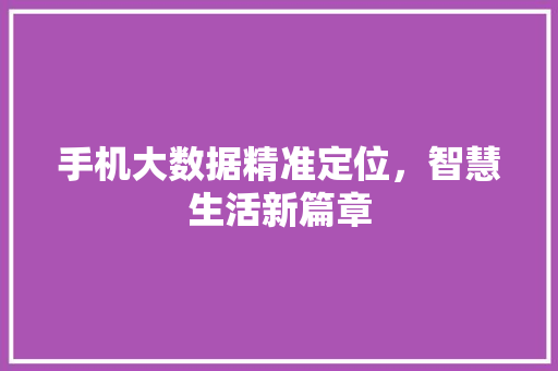 手机大数据精准定位，智慧生活新篇章