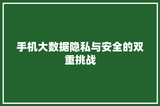 手机大数据隐私与安全的双重挑战