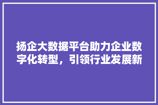 扬企大数据平台助力企业数字化转型，引领行业发展新趋势