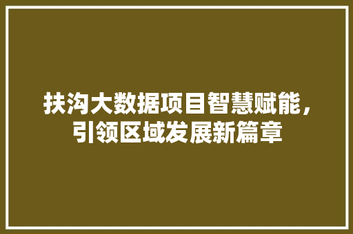 扶沟大数据项目智慧赋能，引领区域发展新篇章