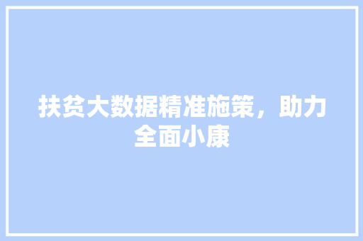 扶贫大数据精准施策，助力全面小康