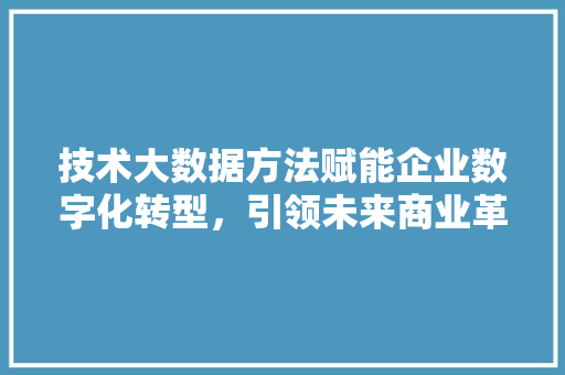 技术大数据方法赋能企业数字化转型，引领未来商业革命