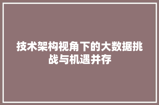 技术架构视角下的大数据挑战与机遇并存