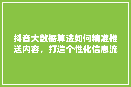抖音大数据算法如何精准推送内容，打造个性化信息流 友链在线