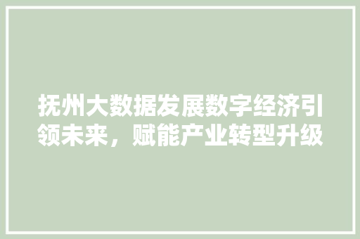 抚州大数据发展数字经济引领未来，赋能产业转型升级