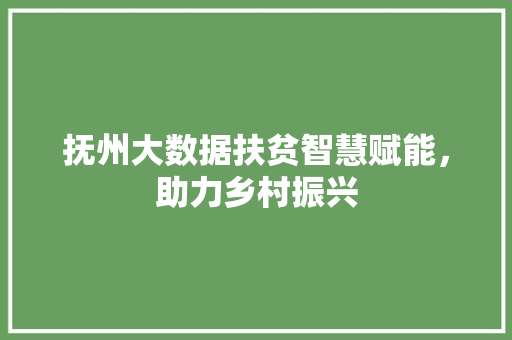抚州大数据扶贫智慧赋能，助力乡村振兴